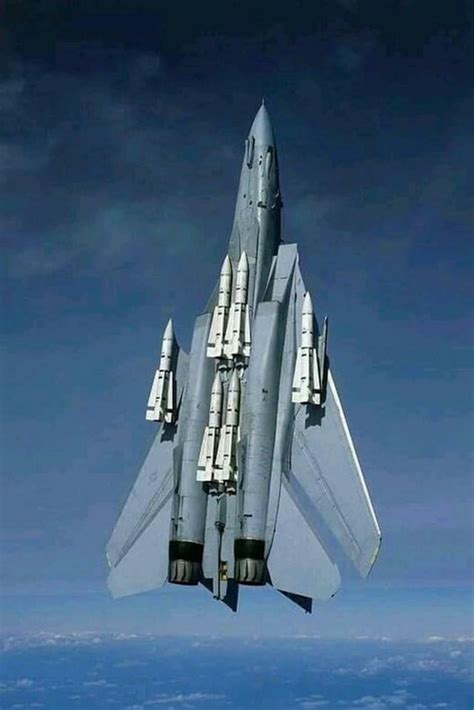 The F-14 Tomcat loaded with AIM-54 Phoenix missiles : r/aviation