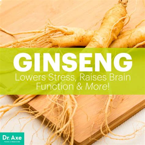 Ginseng Benefits, Nutrition Facts & How to Make Ginseng Tea - Dr. Axe