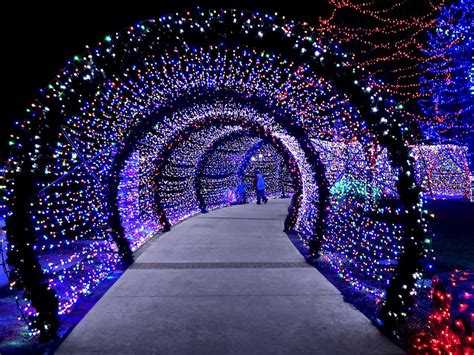 Here's where to see the best Christmas lights around Houston this year