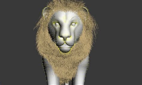 Lion animation 3D model animated rigged | CGTrader