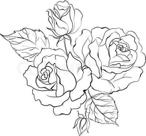 Roses drawing, Flower drawing, Rose line art