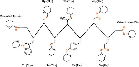 Thp protection of amino acids. | Download Scientific Diagram