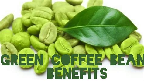 Green Coffee Beans: top 8 Beneficial features for health and body, skin and hair