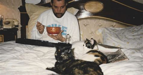 20 Vintage Photos Of Freddie Mercury And His Cats That Show His Love For Them Was Unconditional ...