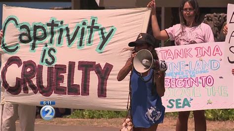 Ocean activists hold protest outside Sea Life Park - YouTube