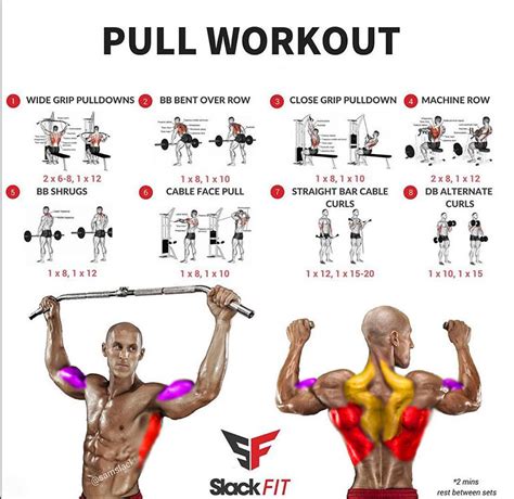 PULL WORKOUT EXERCISES | Guide