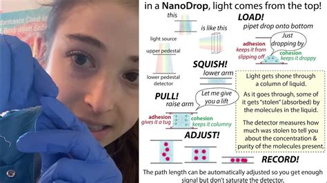 How a NanoDrop works - YouTube