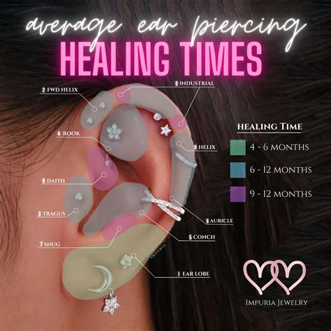 The Ultimate Guide to Ear Piercing Healing Times | Ear piercings, Ear ...