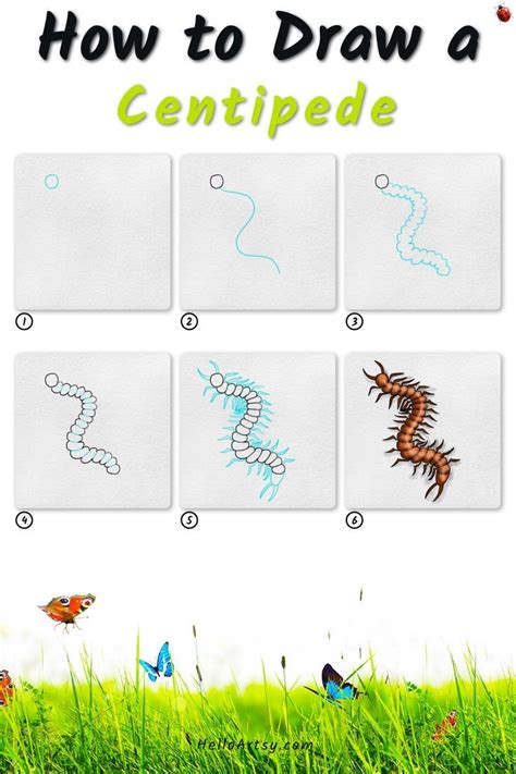 How to Draw A Centipede (6 STEPS!) Easy Centipede Drawing Lesson for Kids! | Drawing lessons for ...