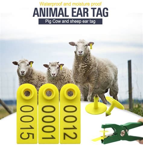 goat ear tags,sheep ear tags,custom ear tags,livestock ear tags,ear tag applicator