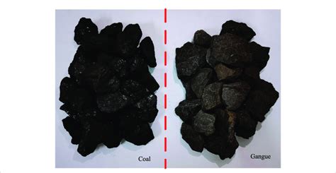 Some samples of coal and gangue. | Download Scientific Diagram