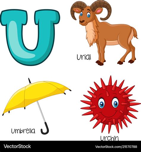 U alphabet Royalty Free Vector Image - VectorStock