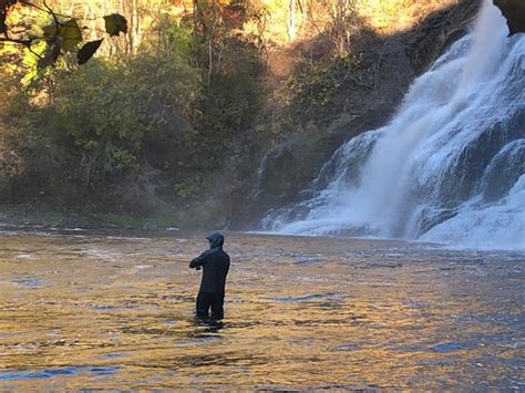 Ithaca Falls Natural Area - 2020 All You Need to Know BEFORE You Go ...