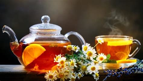 Tea for Plants - When It Can Help & When It Can Hurt