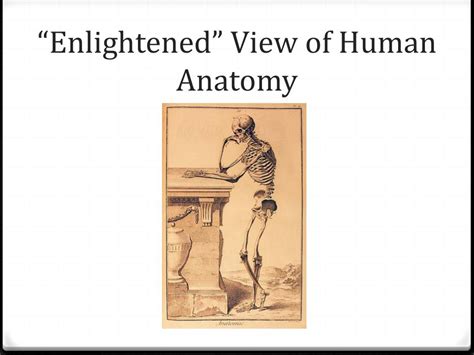 PPT - Aristotelian Model of Universe PowerPoint Presentation, free ...