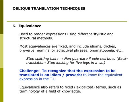 Translation techniques presentation