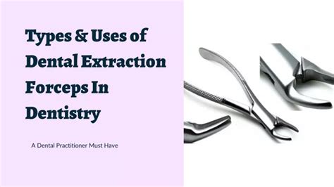 PPT - Types & Uses of Dental Extraction Forceps In Dentistry PowerPoint Presentation - ID:11582940