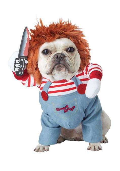 Pin by lucy macedo tejada on mascotas | Pet halloween costumes, Pet ...