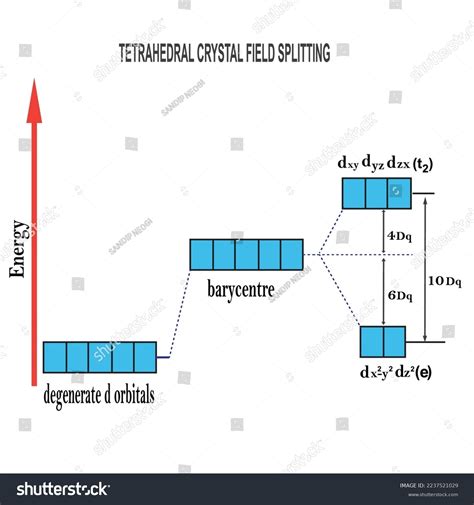 Tetrahedral Crystal Field Splitting Coordination Compounds Stock Vector ...