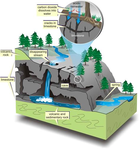 Speleogenesis: How were caves and cenotes formed? | Karst Geochemistry ...