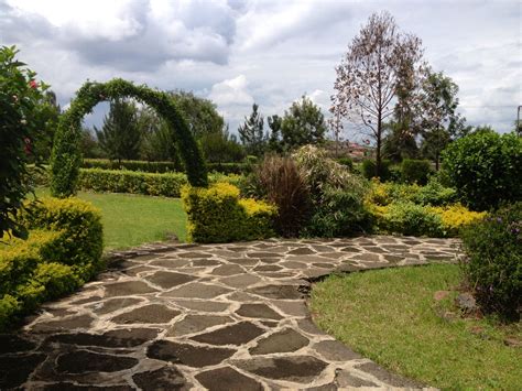 Our garden - Nakuru, Kenya. Photograph - (c) copyright of Bow & Diamond, 2012. | Nakuru, Kenya ...