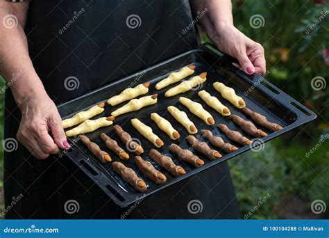 Cookies in hands stock photo. Image of copy, cookie - 100104288