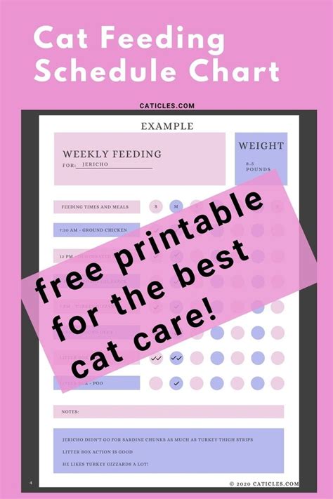 Cat Feeding Schedule Chart [How Many Times to Feed Guide] | Cat feeding, Cat feeding schedule ...