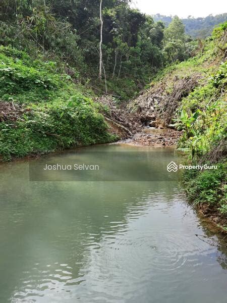 Raub, Kampung Sang Lee, Raub District, Pahang, Agricultural Lands for sale, by Joshua Selvan, RM ...