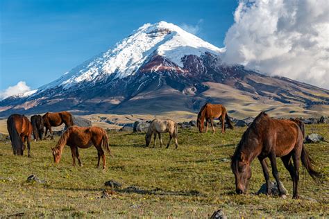 15 Best Day Trips from Quito, Ecuador