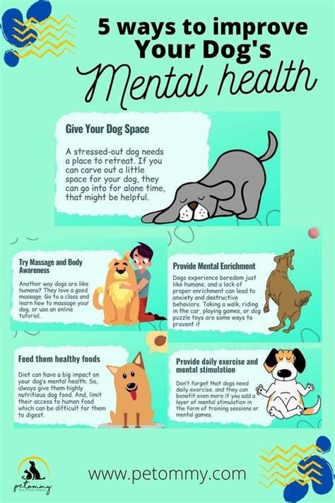 5 ways to improve your dog's mental health Dog Health Tips, Dog Health Care, Mental Health ...