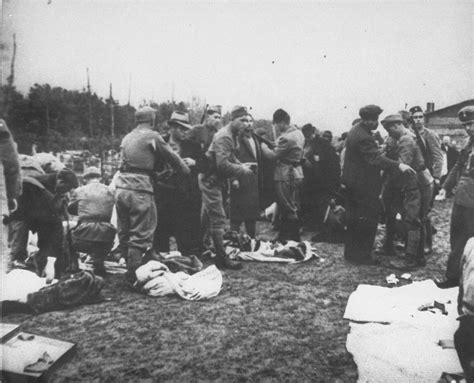 Ustasa guards in the Jasenovac concentration camp strip newly arrived prisoners of their ...