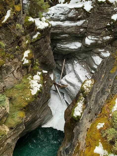 Best Mountain Biking Trails near Jasper, Alberta Canada | AllTrails