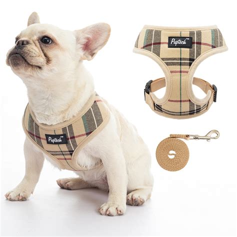 Luxury Dog Harness: 10 Best Picks For Your Furry Friend | Family Fun ...