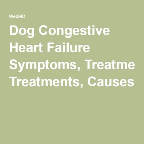 12 CHF in dogs ideas | congestive heart failure, dogs, heart failure