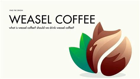 What is weasel coffee? Should we drink weasel coffee?