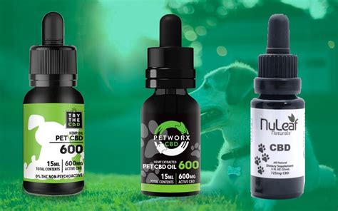 Best CBD oil for dogs: Top 5 picks - AZ Big Media