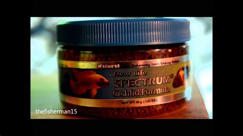 82 / Best Cichlid Food - YouTube