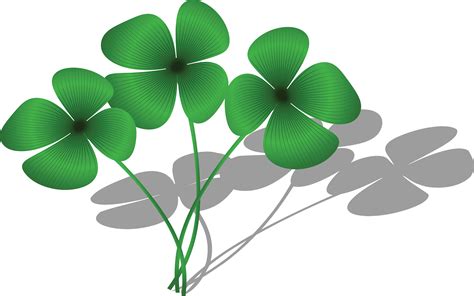 Vines clipart clover, Vines clover Transparent FREE for download on ...