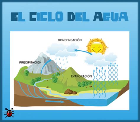 Actividades para Educación Infantil: EXPERIMENTO: nuestro propio CICLO ...