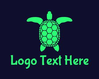 Turtle Logos | 130 Custom Turtle Logo Designs