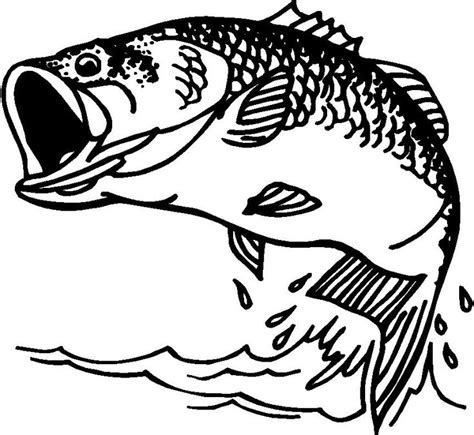 Bass fish clip artbass fish clipart from votes quoteko oghw6j4v – Clipartix