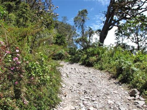 Barú Volcano National Park, Panama - 2024 Guide