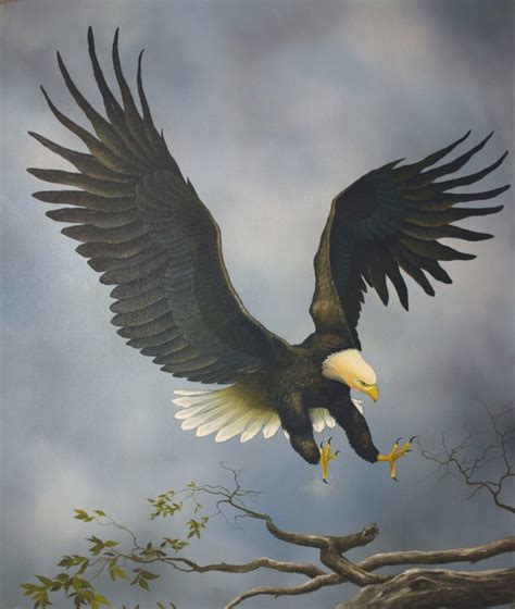 Eagle Painting at PaintingValley.com | Explore collection of Eagle Painting