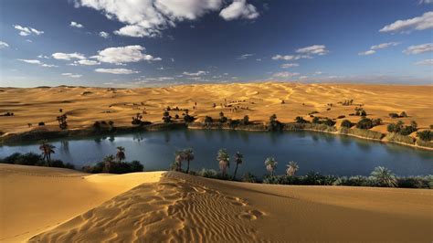 Desert Oasis Wallpapers - Wallpaper Cave