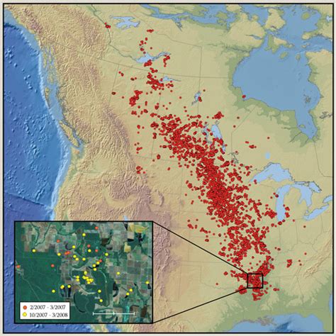 Tracking the Mallard Migration