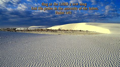 Sing To The Lord A New Song And His Praise In The Assembly Of The Saints Bible Verse, HD ...