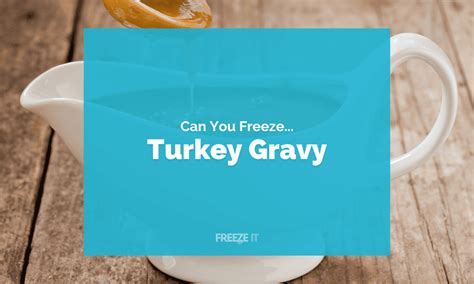 Can You Freeze Turkey Gravy? Yes! Here's How....