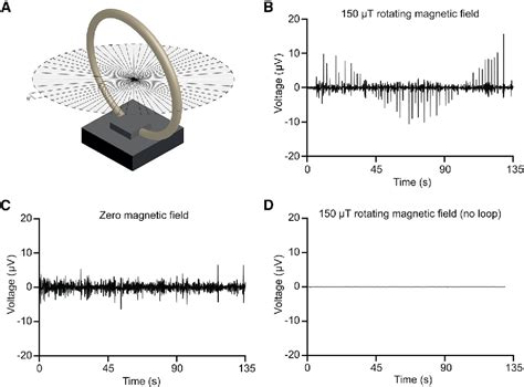 Figure 3 from A Putative Mechanism for Magnetoreception by Electromagnetic Induction in the ...