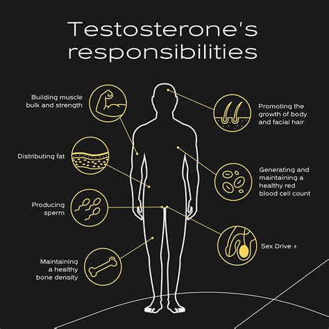 Testosterone Levels By Age: What's Normal?