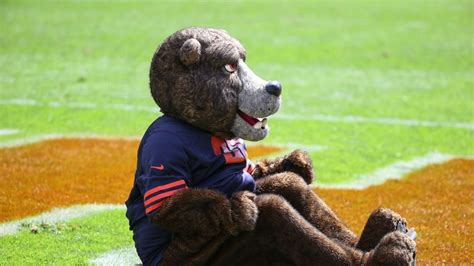 Chicago Bears stats and facts | NFL News | Sky Sports